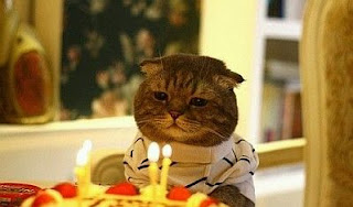 Happy Birthday, Tarjetas de Cumpleaños con Animales en Ingles