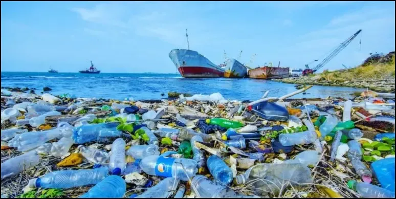 Rüyada Kirli Deniz Görmek Ne Anlama Gelir?