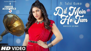 Dil Mein Ho Tum Lyrics