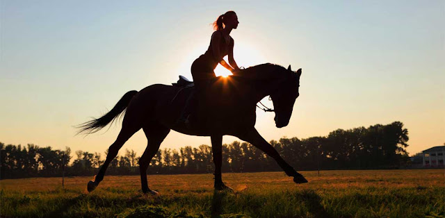 Horseback Riding