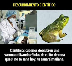 Descubrimiento científico , científicos cubanos descubren vacuna utilizando células de culito de rana, que si no te sana hoy, te curará mañana