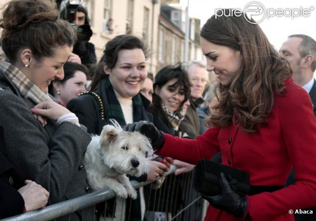 prince william va. Le prince William va bien