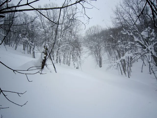 尾根を登る