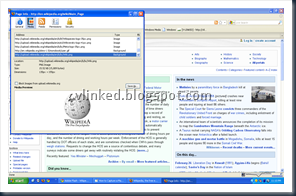 capture macromedia flash object