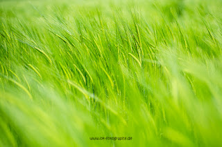 Landschaftsfotografie Mittelfranken Mitteleschenbach Olaf Kerber