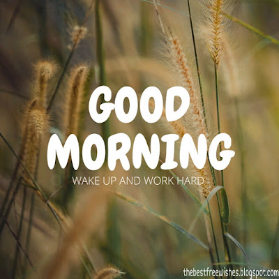 Good-Morning-Images