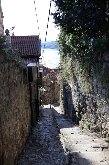 Czarnogóra - Perast