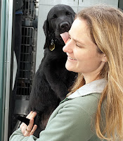 Puppy raiser Mandy holds black Lab pup Saxon, fresh of GDB's puppy truck