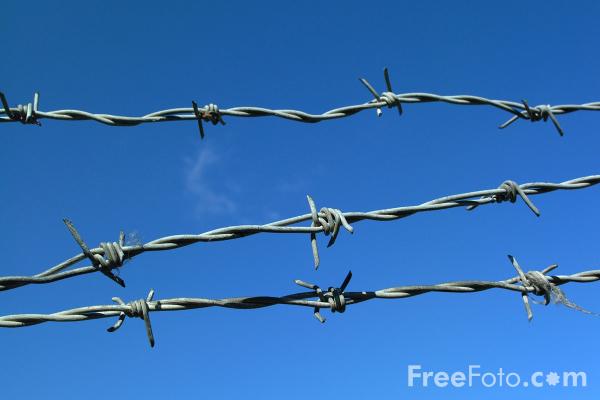 Barbed Wire4