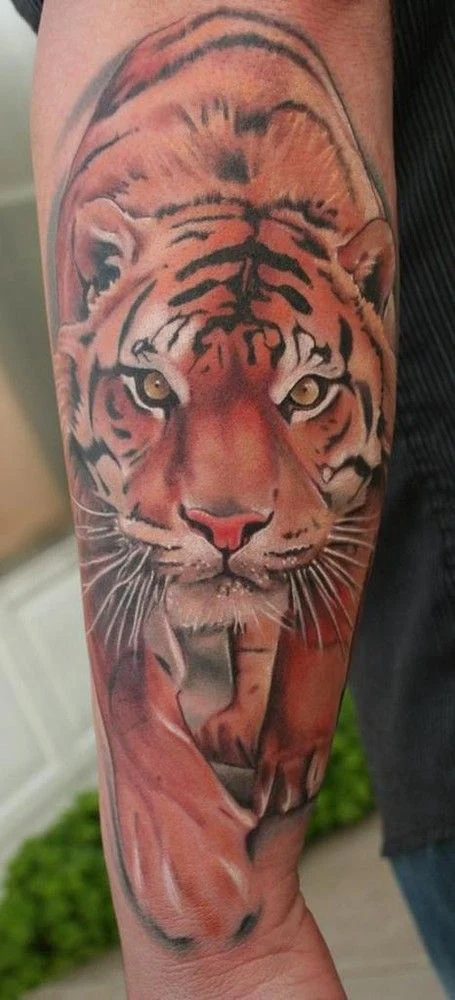 Vemos el tatuaje de tigre en el brazo de un chico