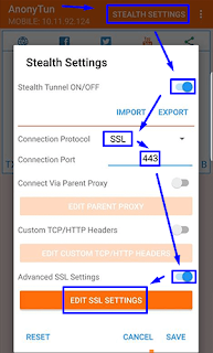 Cara Setting Anonytun Videomax Terbaru