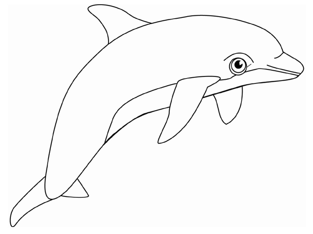 dolphins coloring pages realistic