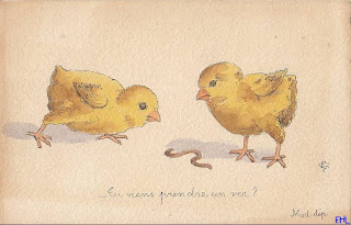 animaux poussins ver