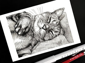 08-Sleeping-cat-Ineko-Kawai-www-designstack-co