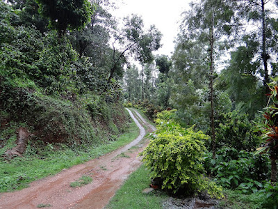 Things To Do In Coorg