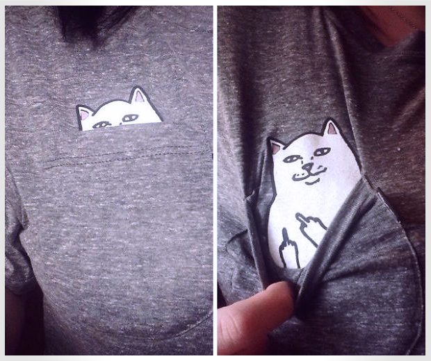 Middle Finger Cat Shirt