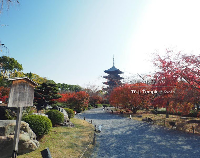 [京都] 東寺の紅葉