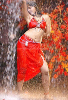 Anushka, hot, navel, photos, collection