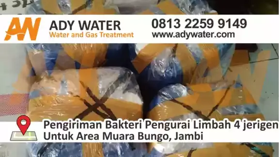 harga bakteri aerob, harga bakteri anaerob