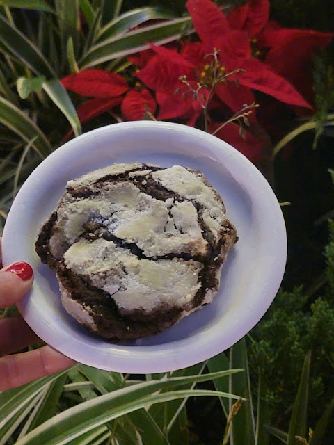 Chocolate crinkle cookie at Disney Cookie Stroll