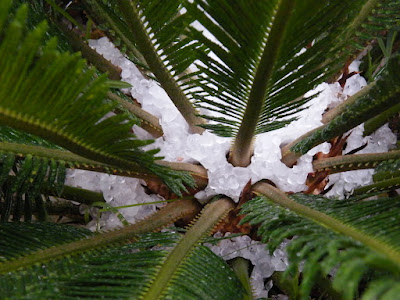 Chuva de granizo em Maringá