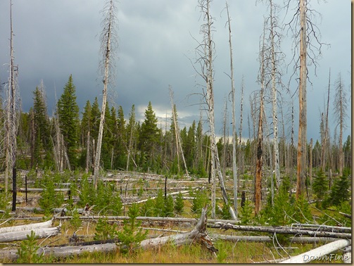 Yellowstone dawns_20090906_055