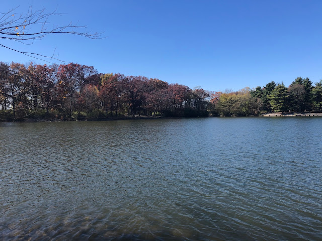 Herrick Lake charms with tranquility.