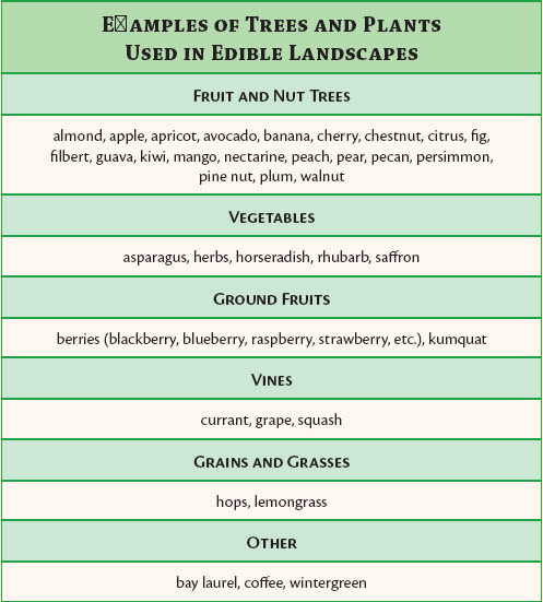 3 types of edible flowers Examples of Trees and Plants Used in Edible Landscapes | 497 x 551