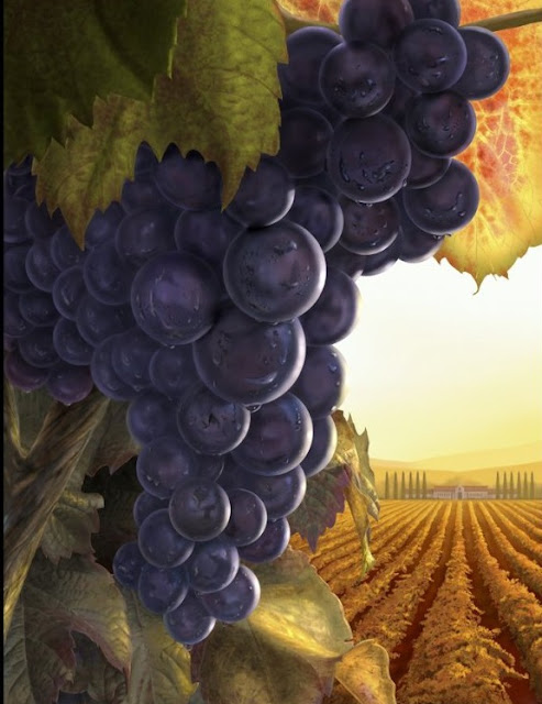 digital art grapes,digital art fruits,digital art landscape