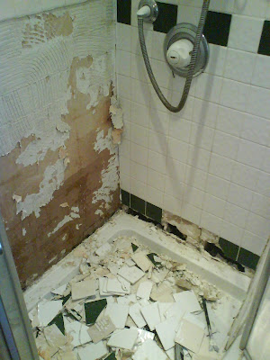 The tiles falling from our shower