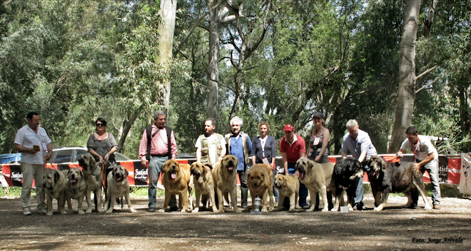 Ganadores grupo de crias Velez Benaudalla.