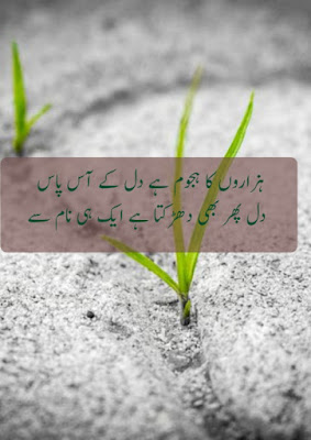 Find Sad Urdu Poetry 2 lines &amp; Pic