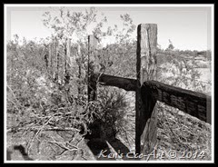 EFP-B&W-P1080050 EFP-B&W-P1080050