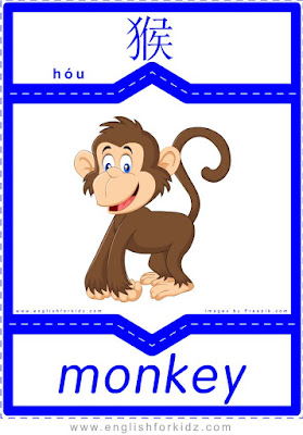 Monkey - English-Chinese flashcards for wild animals topic