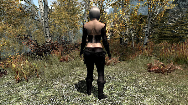 Custom armor for The Elder Scrolls V Skyrim