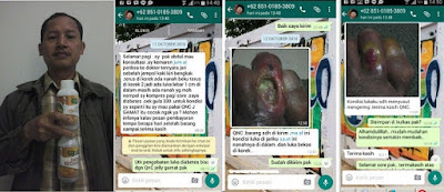 Hasil gambar untuk QnC Jelly Gamat Obat luka