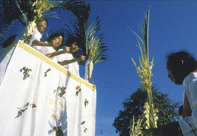The Palm Sunday osana in Santa Isabel, Malolos City
