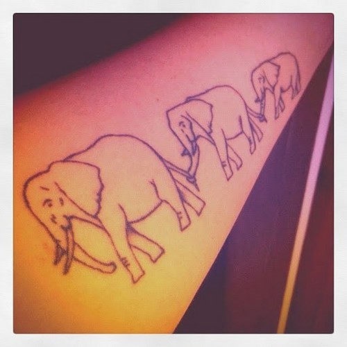 elefante_tatuagens_28