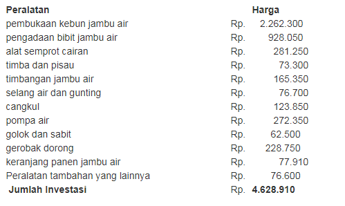 ERAQQ - Peluang Usaha Dan Analisa Budidaya Jambu Air Serta Modal Dan keuntungannya