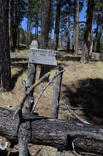 partly burned, nearly crushed sign