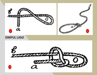 Contoh Simpul Laso