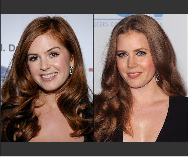 isla fisher amy adams look isla fisher look like. isla fisher amy adams look
