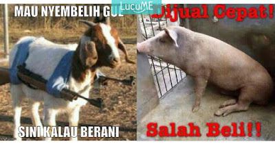 20 Meme 'Pesan Terakhir Kambing & Sapi' Ini Ceriakan Idul 