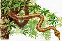 BIBLE IMAGES & EVENTS: THE SERPENT