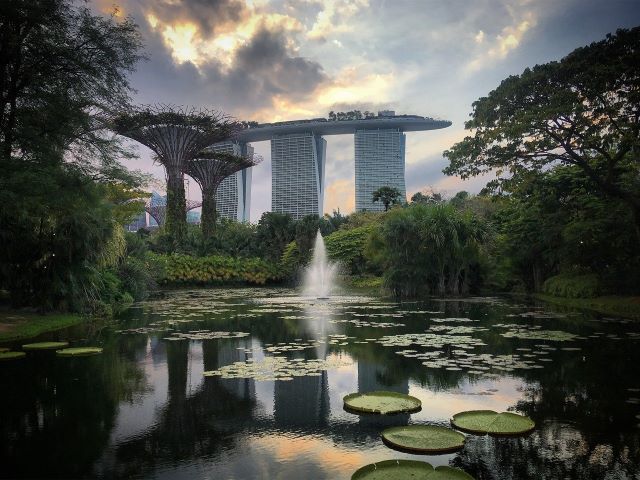 Alliance modernité et nature - Singapour