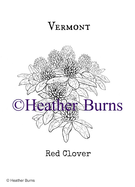 state flower coloring book