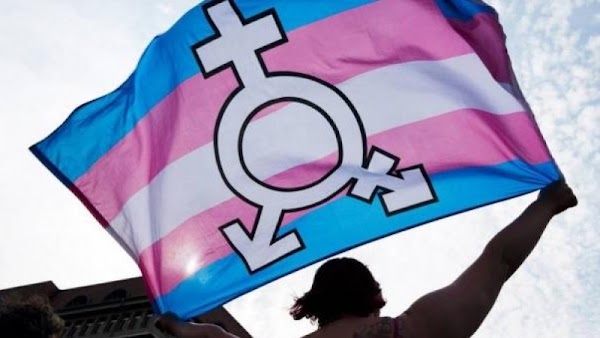 La Ley Trans I - Políticas públicas