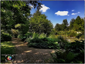 GELAUCOURT (54) - Jardin d'eau de l'Aubepré