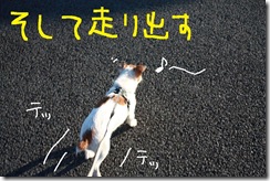 今日カズ０９１２１７　３