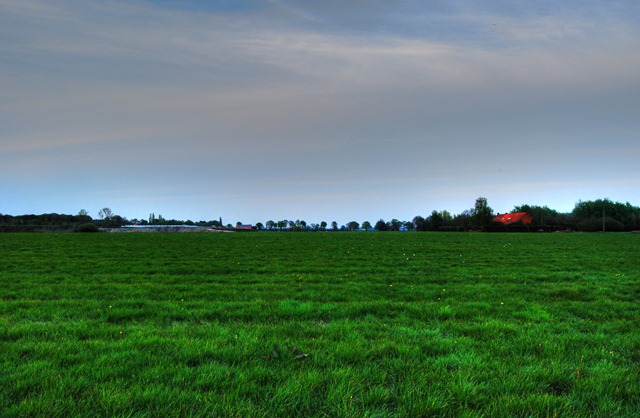 mx5HDR2